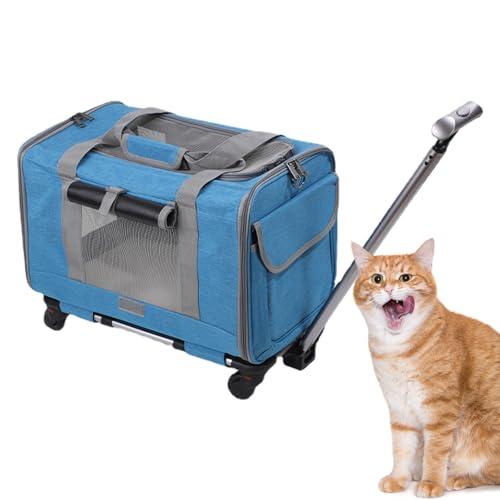 Große Tragetasche für Katzen, Hunde, Haustiere, Reisetasche, Organizer, Sicherheits-Reißverschlüsse, Tragegurt, von Fluggesellschaften zugelassene Katzenkisten für Autoreisen, Indoor-Katzen und Hunde von PRIMUZ