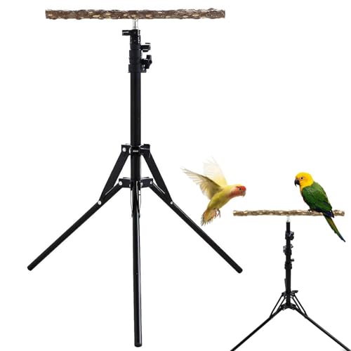 Vogeltisch, Papageienständer, 40 x 157 cm, höhenverstellbarer Papageienständer, Naturholz, Papageien-Sitzstange, Spielzeug, Vogel-Trainings-Sitzstange für große Vögel, drinnen und draußen von PRIMUZ