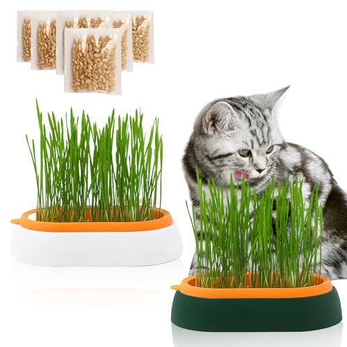 PRITOK 2 Stück Katzengras Tablett Wachstumsset: Kunststoff Bequem Katze Gras Fall mit 6 Tasche Seed, Hydroponik-Katzengraskasten, Katzengras-Keimschale für Katzenhunde Haustiere von PRITOK