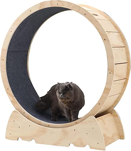 PRMTYUP Katzenlaufrad Katzenübungsrad Katzenrad -Übende Für Innenkatzen Mit Teppichsteg Naturholzfarbe Katzenrad,106cm von PRMTYUP