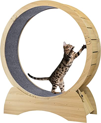 PRMTYUP Katzenübungsrad Katzenlaufmühle Mit Teppichsteg Geräuschloser Roller Katzenlaufrad Für Tierverlustgewicht Und Tägliche Bewegung,Wood,L von PRMTYUP