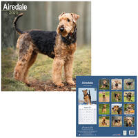 Rassekalender 2025 [Airedale Terrier] von PRO PET MARKENVERTRIEB