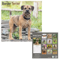 Rassekalender 2025 [Border Terrier] von PRO PET MARKENVERTRIEB