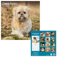 Rassekalender 2025 [Lhasa-Apso] von PRO PET MARKENVERTRIEB