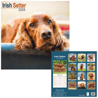 Rassekalender 2025 [Irish Setter] von PRO PET MARKENVERTRIEB