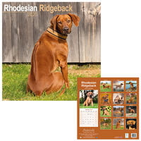 Rassekalender 2025 [Rhodesian Ridgeback] von PRO PET MARKENVERTRIEB