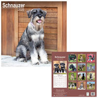 Rassekalender 2025 [Schnauzer] von PRO PET MARKENVERTRIEB