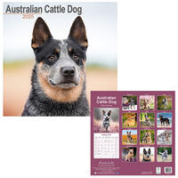 Rassekalender 2025 [Australian Cattle Dog] von PRO PET MARKENVERTRIEB