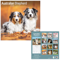 Rassekalender 2025 [Australian Shepherd] von PRO PET MARKENVERTRIEB