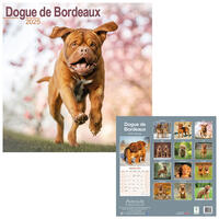 Rassekalender 2025 [Bordeaux Dogge] von PRO PET MARKENVERTRIEB