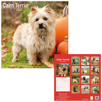 Rassekalender 2025 [Cairn Terrier] von PRO PET MARKENVERTRIEB