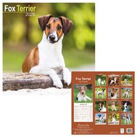 Rassekalender 2025 [Foxterrier, Drahthaar] von PRO PET MARKENVERTRIEB