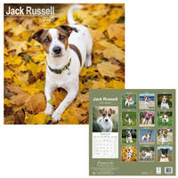 Rassekalender 2025 [Jack Russel Terrier] von PRO PET MARKENVERTRIEB