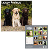 Rassekalender 2025 [Labrador] von PRO PET MARKENVERTRIEB