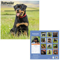 Rassekalender 2025 [Rottweiler] von PRO PET MARKENVERTRIEB