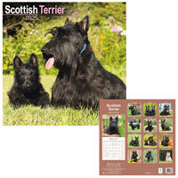 Rassekalender 2025 [Scottish Terrier] von PRO PET MARKENVERTRIEB