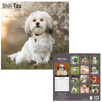 Rassekalender 2025 [Shih-Tzu] von PRO PET MARKENVERTRIEB