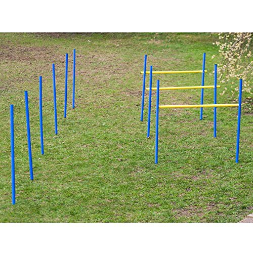 Procyon Dog Agility Trainings-Set 2 für Anfänger von Procyon