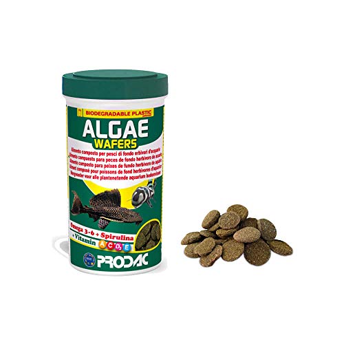 PRODAC TABLETTEN Grundfische Algae WAFERS 50G von Prodac