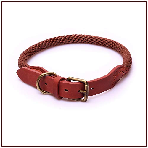 PROFTI Lederhalsband für Hunde, mit Nylon, weiches Leder, belastbar, robust (49-56cm Halsumfang, Braun) von PROFTI