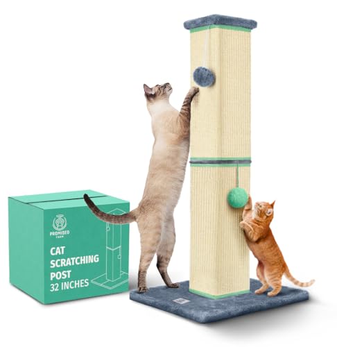 PROMISED FARM Kratzbaum für Katzen, 81,3 cm, schützt Ihre Möbel und befriedigt die Kratzbedürfnisse Ihrer Katze und Kätzchen, groß, langlebig, robust und ästhetisch, Grau/Grün von PROMISED FARM