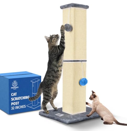 PROMISED FARM Kratzbaum für Katzen, hoch, 81,3 cm, schützt Möbel, langlebiges und stabiles Design, ästhetisches Katzenzubehör Essentials von PROMISED FARM