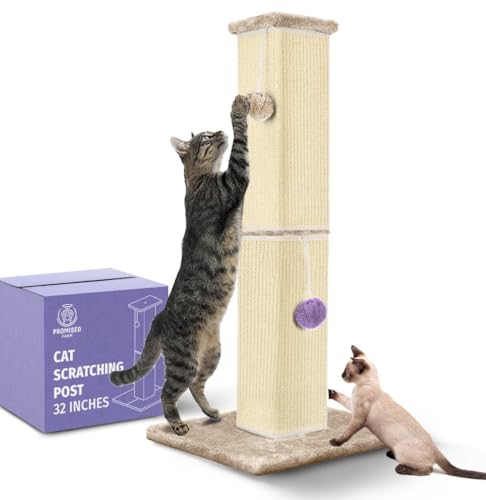 PROMISED FARM Kratzbaum für Katzen, hoch, 81,3 cm, schützt Möbel, langlebiges und stabiles Design, ästhetisches Katzenzubehör Essentials von PROMISED FARM