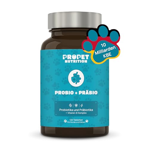 Probiotika Hund und Katze + Präbiotika + Vitamine B Komplex. Immunsystem Stärken. 11 Bakterienstämme. 10 Milliarden KBE. Immunsystem stärken & Darmflora Aufbauen. CE. Propet Nutrition von PROPET NUTRITION