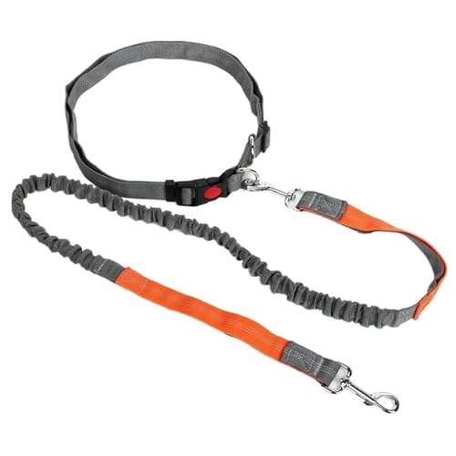 Hundeschleppseil, einziehbare Hundeleine mit verstellbarem Taillenseil, freihändiges Laufen, Joggen, Radfahren, große Hunde, Haustier-Elastizitätsleine, Heimtierbedarf, Hundeleine(Orange) von PRPRP