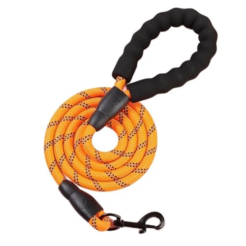 Trainingsleine for Hunde, Trainingsseil, Starke Hundeleine, Haustierleinen, reflektierende Leine for kleine, mittelgroße und große Hundeleine, Drag Pull Tow, Golden Retriever Hundeleine(Orange,200CM) von PRPRP