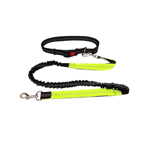 Trainingsleine for Hunde, langlebige, elastische Nylon-Hundeleine for Laufen und Spazierengehen, Haustier-Traktionsleine mit bequemem Griff, ideal for aktive Hunde und Hundebesitzer(Black Green) von PRPRP