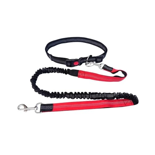 Trainingsleine for Hunde, langlebige, elastische Nylon-Hundeleine for Laufen und Spazierengehen, Haustier-Traktionsleine mit bequemem Griff, ideal for aktive Hunde und Hundebesitzer(Black Red) von PRPRP