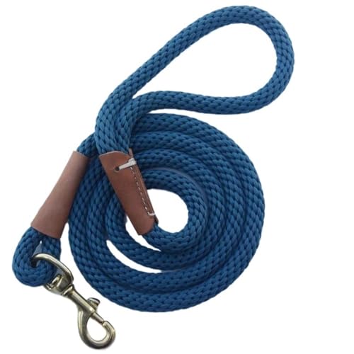 Trainingsleine for Hunde, leichte kleine und mittelgroße Hunde-Tracking-Leinen, Lange Hundeleine, Hundeleine(Blue,200cm) von PRPRP