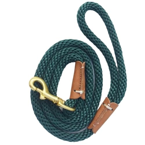 Trainingsleine for Hunde, leichte kleine und mittelgroße Hunde-Tracking-Leinen, Lange Hundeleine, Hundeleine(Green,150cm) von PRPRP