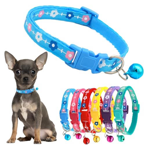 Extra kleines Hundehalsband für Mädchen, weibliches Katzenhalsband mit Glöckchen, Nylon, Welpenhalsband, niedliche Blume, verstellbar, für Kätzchen, kleine XXS, XS, kleine Haustiere von PSPORT