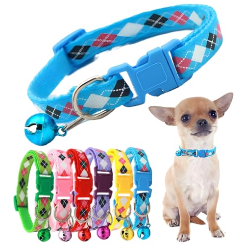 Extra kleines Hundehalsband mit Glöckchen, Nylon, für Jungen, Katzenhalsband, Kunststoffschnalle, blaues Kätzchen-Glöckchen-Halsband für kleine Welpen, männlich, XXS, XS, kleine Haustiere von PSPORT