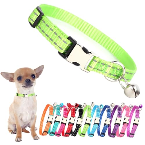 Grünes Hundehalsband mit Glöckchen, reflektierendes Katzenhalsband, Nylon, Metallschnalle, für Welpen, Welpen, Welpen, Welpen, Welpen, Größe XS, kleine Hunde und Kätzchen von PSPORT