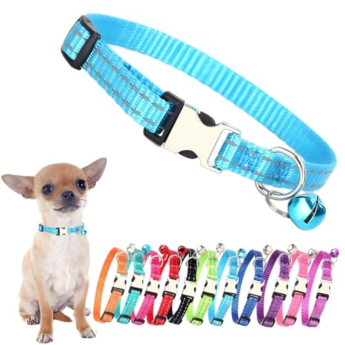 Hundehalsband, Glöckchen, reflektierendes Nylon, für Herren, Metallschnalle, XS, für Jungen, Welpen, Haustiere, XS, kleine Hunde und Kätzchen, Blau von PSPORT