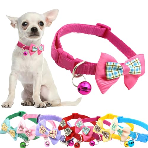 Hundehalsband mit Fliege, Kätzchen, Glockenhalsband, Nylon, Fliege, Katzenhalsband mit Glöckchen, Kunststoffschnalle, verstellbar, für XXS, XS, kleine Hündinnen von PSPORT