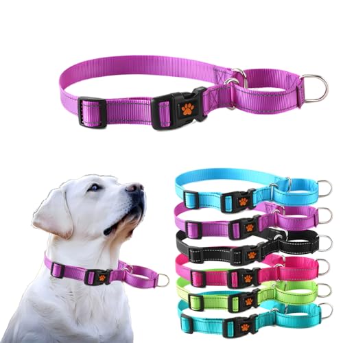 Martingale Halsband für Hunde, reflektierendes Hundehalsband mit Schnellverschluss-Schnalle, kein Ziehen, verstellbar, für kleine, mittelgroße und große Hunde, Lila, L von PSPORT