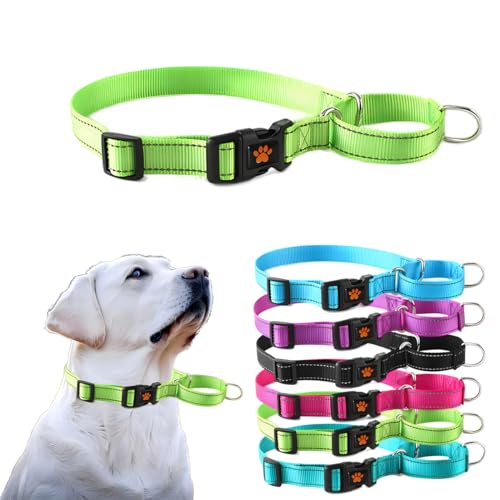 Martingale Halsband für Hunde, reflektierendes Hundehalsband mit Schnellverschluss-Schnalle, kein Ziehen, verstellbare Halsbänder für kleine, mittelgroße und große Hunde, Grün, L von PSPORT