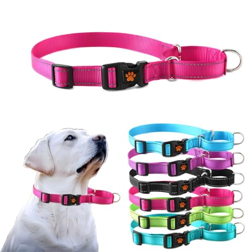 Martingale Halsband für Hunde, reflektierendes Hundehalsband mit Schnellverschluss-Schnalle, kein Ziehen, verstellbare Halsbänder für kleine, mittelgroße und große Hunde, Rosenrot, L von PSPORT