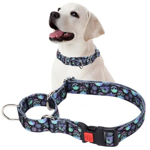 Martingale Halsband für Hunde, Totenkopf-Martingale-Hundehalsband für kleine, mittelgroße und große Hunde, Mädchen, robuste Hundehalsbänder, verstellbar für Training, Spazierengehen, Jagd, M von PSPORT