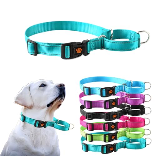 Martingale Hundehalsband-Set, mit Schnellverschluss-Schnalle, reflektierend, für kleine, mittelgroße und große Hunde, Cyan, L von PSPORT