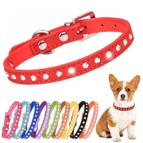 Shining Diamond Hundehalsband, Strass Bling Glitzer Katzenhalsband PU Leder Kätzchen Mädchen Halsband Verstellbar für XSmall Kleine Mittlere Hunde Rot XS von PSPORT