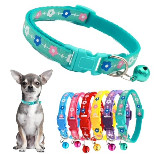 XXS Hundehalsband mit Glöckchen, für Mädchen, Kätzchen, Glöckchen, niedlicher Blumendruck, Nylon, verstellbar, Katzenhalsband für Welpen, kleine XS, XS, extra kleine Haustiere, Grün von PSPORT