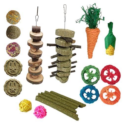 PTILSERY Kauspielzeug für Vögel, Luffa, Kaucluster für Hamster, kleine Haustiere, Eichhörnchen, Schaukel, Zähneknirschen, Spielzeug für Käfig, Vogel von PTILSERY