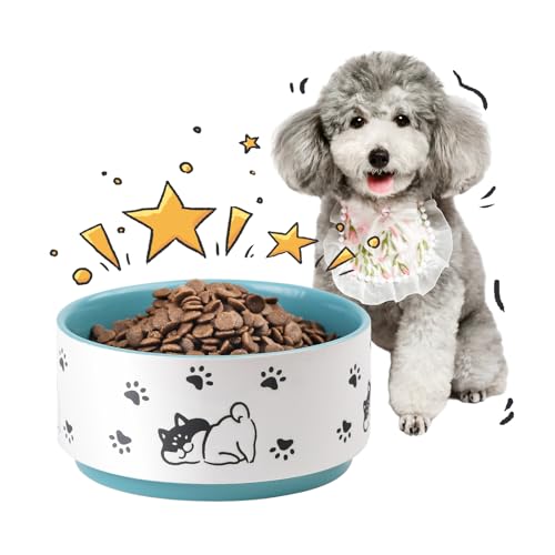 Futternapf Hund Keramik Hunde Fressnapf - Hundenapf mit Fröhlichem Welpen Motiv - Ideal für Kleine und Mittelgroße Hunde - Durchmesser 15,5 cm - 900 ml - Grün von PTOBER