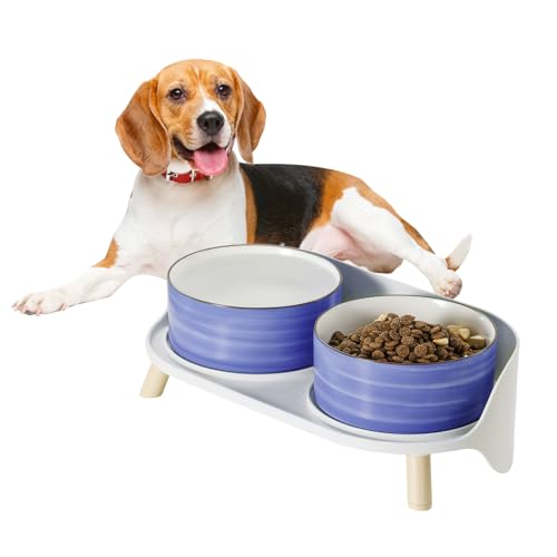 Hunde Napfset Hundenapf Set Erhöht - Doppelnapf Hund Keramik mit Spritzschutz Ständer - Bunte Spirals Hundenäpfe für Futter und Wasser - Ideal für Kleine bis Mittelgroße Hunde - 2 x 650 ml - Blau von PTOBER