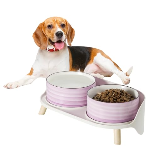 Hunde Napfset Hundenapf Set Erhöht - Doppelnapf Hund Keramik mit Spritzschutz Ständer - Bunte Spirals Hundenäpfe für Futter und Wasser - Ideal für Kleine bis Mittelgroße Hunde - 2 x 650 ml - Lila von PTOBER